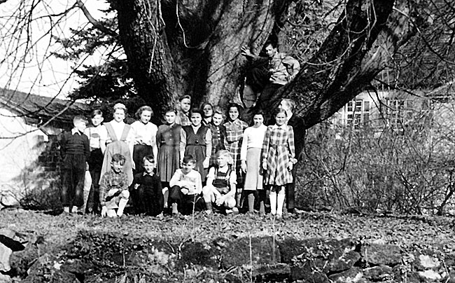 Schubartschule Class Eglosheim (52/53)