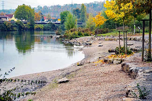 Am Neckar, October 23, 2015