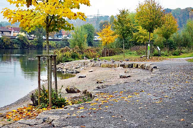 Am Neckar, October 23, 2015