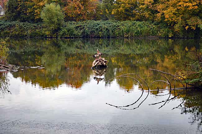 Am Neckar, October 23, 2015