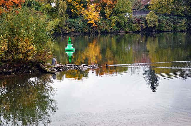 Am Neckar, October 23, 2015