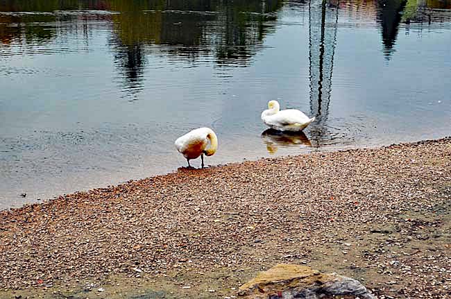 Am Neckar, October 23, 2015