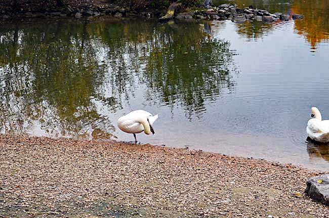 Am Neckar, October 23, 2015