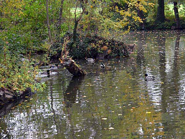 Monrepos, October 21, 2015