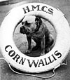 RCN History